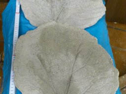 Betonarbeiten