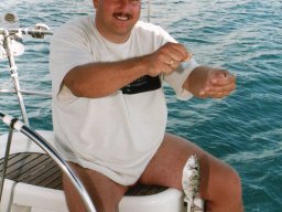 Törn 2002