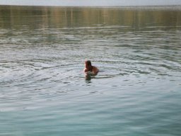 Törn 2002