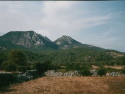 Törn 2002