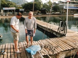 Törn 2002