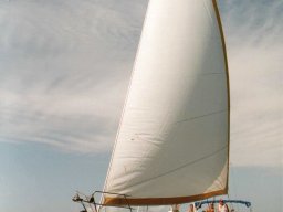 Törn 2002