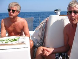 Törn 2003