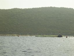 Törn 2004