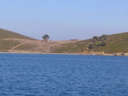 Törn 2006