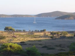 Törn 2006