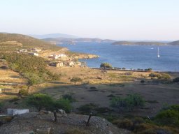 Törn 2006