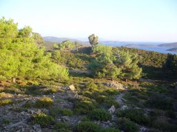Törn 2006