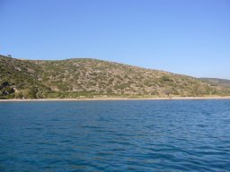 Törn 2006