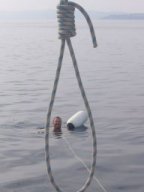 Törn 2006