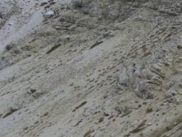 2012 Innichen