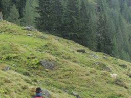 2013 Schladming