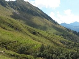 2014 Grosswalsertal