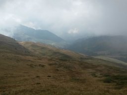 2014 Grosswalsertal