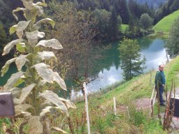 2014 Grosswalsertal