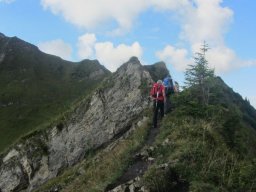 2014 Grosswalsertal