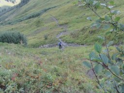 2014 Grosswalsertal