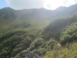 2014 Grosswalsertal