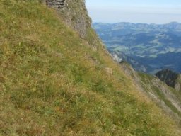 2014 Grosswalsertal