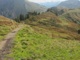 2014 Grosswalsertal