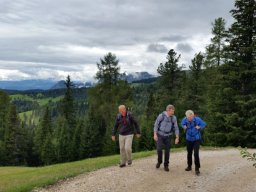 2016 Rosengarten