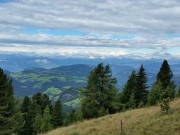 2016 Rosengarten