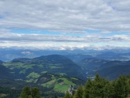 2016 Rosengarten