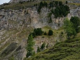 2016 Rosengarten