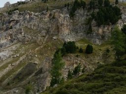 2016 Rosengarten