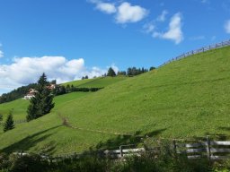 2016 Rosengarten