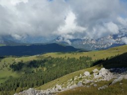 2016 Rosengarten