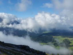 2016 Rosengarten