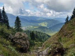 2016 Rosengarten