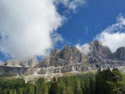 2016 Rosengarten