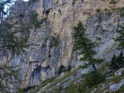 2016 Rosengarten