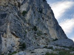 2016 Rosengarten
