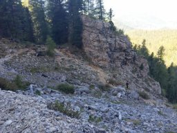 2016 Rosengarten