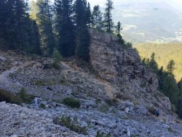 2016 Rosengarten