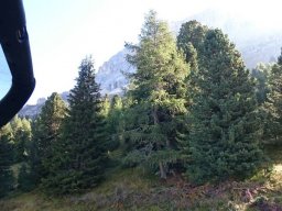 2016 Rosengarten