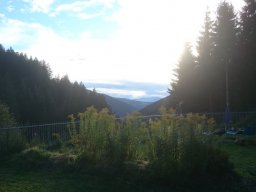 2016 Rosengarten
