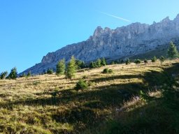2016 Rosengarten