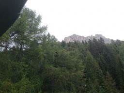 2016 Rosengarten