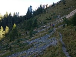 2016 Rosengarten