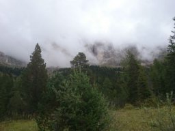 2016 Rosengarten