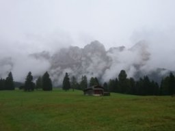 2016 Rosengarten