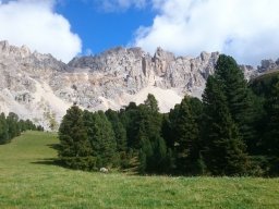 2016 Rosengarten