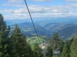2016 Rosengarten