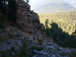 2016 Rosengarten