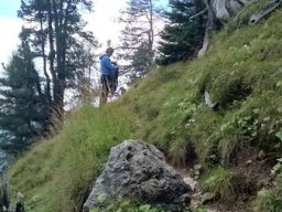 2016 Rosengarten