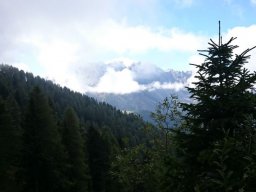 2016 Rosengarten